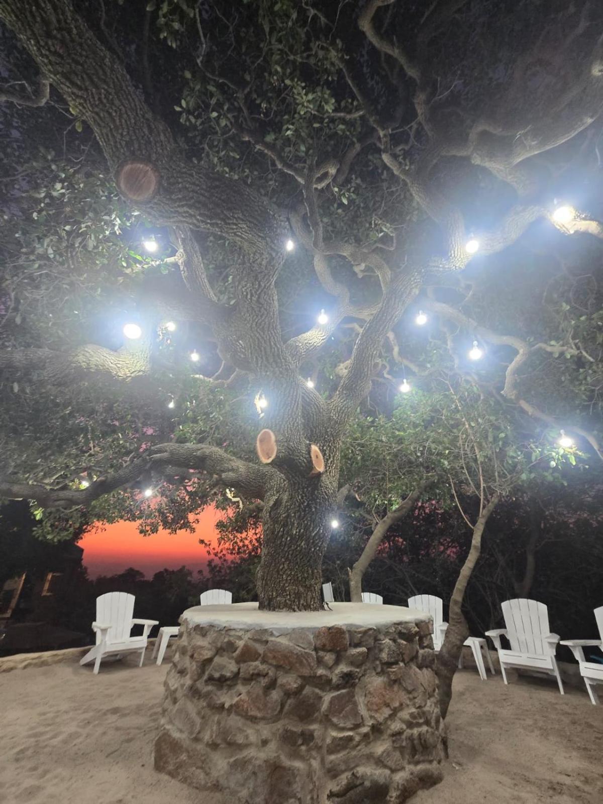 Rocky Mountain Holiday Home Hartbeespoort Extérieur photo