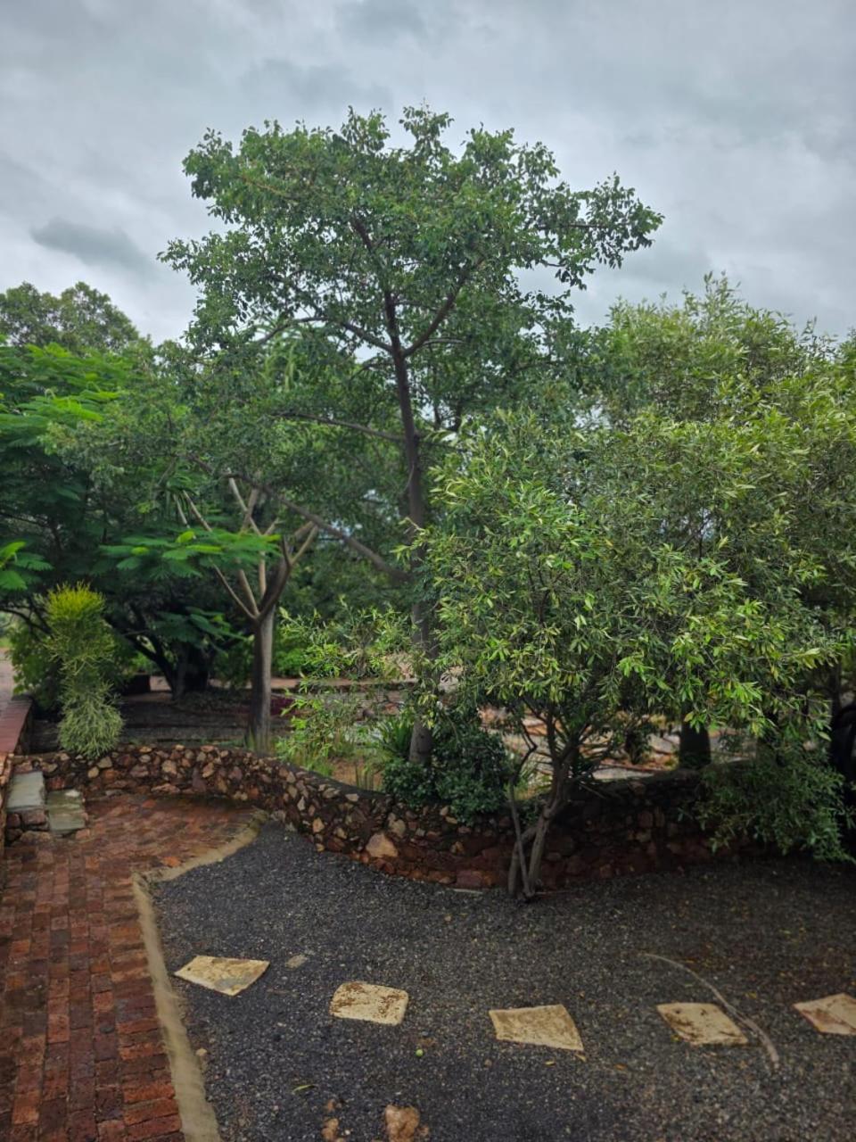 Rocky Mountain Holiday Home Hartbeespoort Extérieur photo